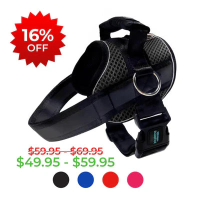 Joyride Mesh Summer Dog Harness 2.0