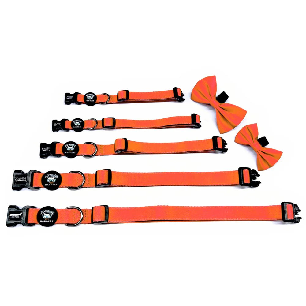 Collar + Free Removable Bowtie (Solid Colors)