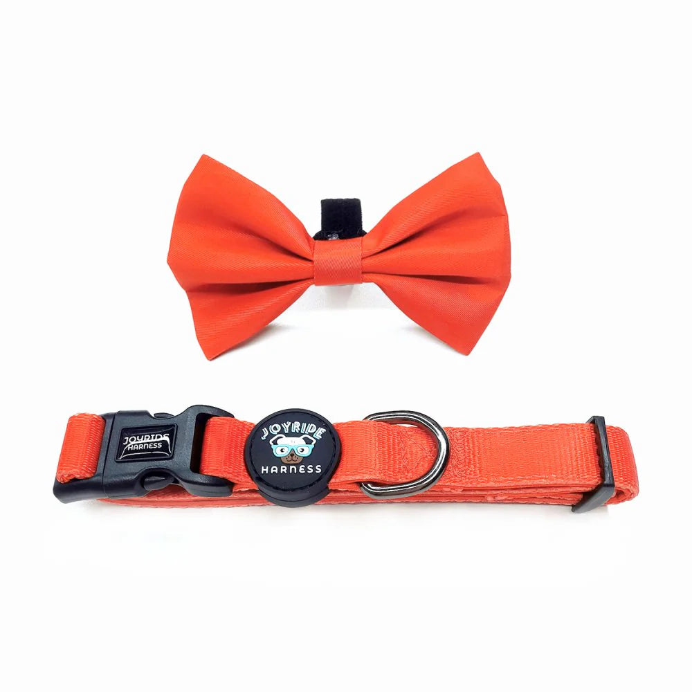 Collar + Free Removable Bowtie (Solid Colors)
