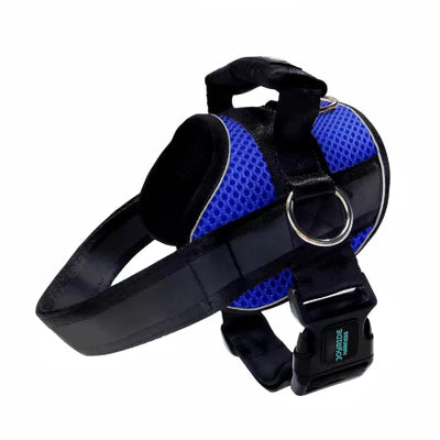 Joyride Mesh Summer Dog Harness 2.0
