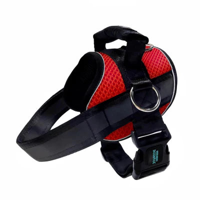 Joyride Mesh Summer Dog Harness 2.0