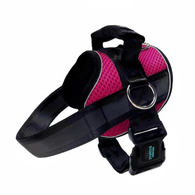 Joyride Mesh Summer Dog Harness 2.0
