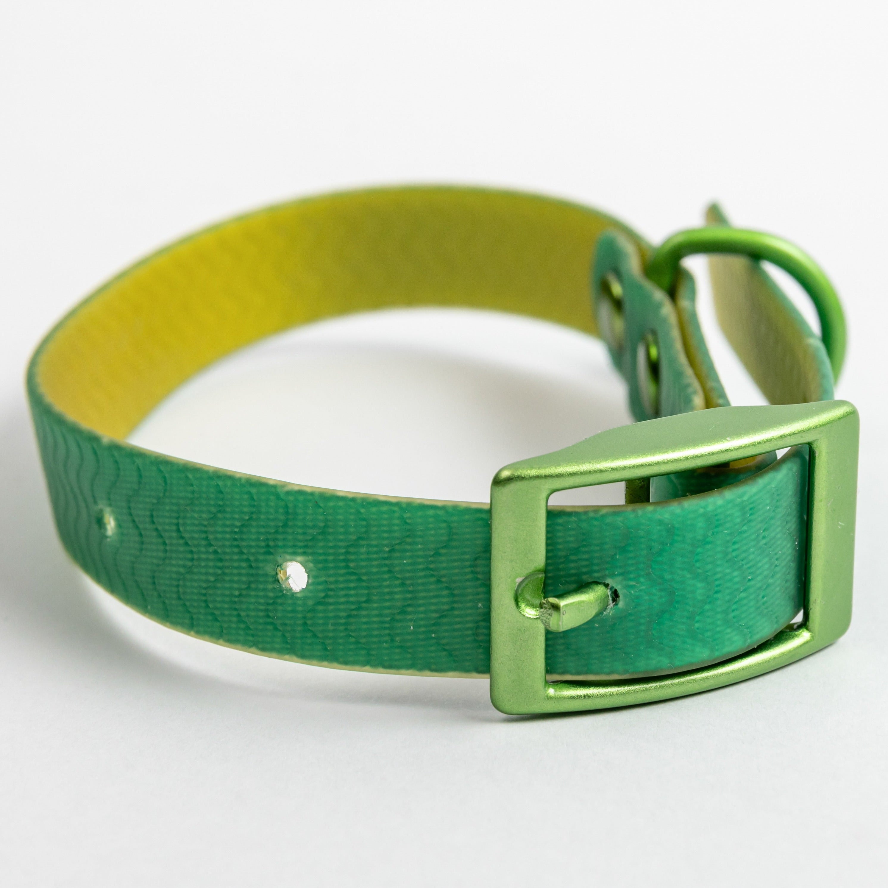 Jelly Collar - Waterproof Collar For Small Dogs