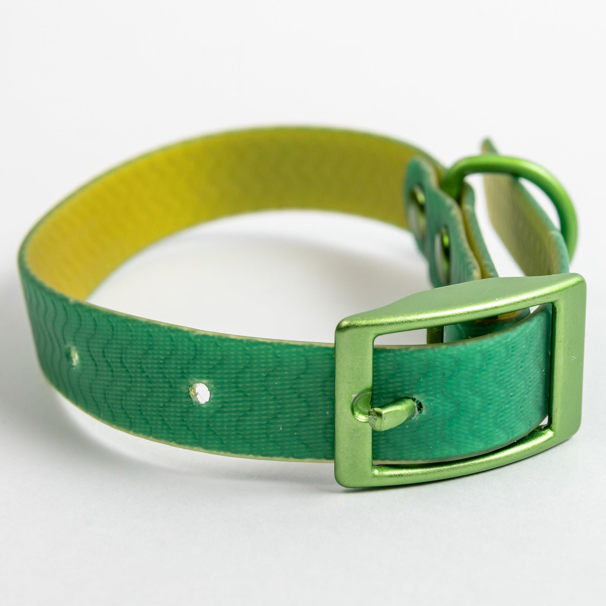 Jelly Collar - Waterproof Collar For Small Dogs