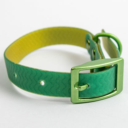 Jelly Collar - Waterproof Collar For Small Dogs
