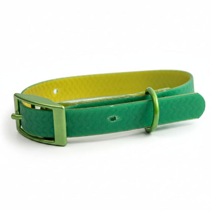 Jelly Collar - Waterproof Collar For Small Dogs