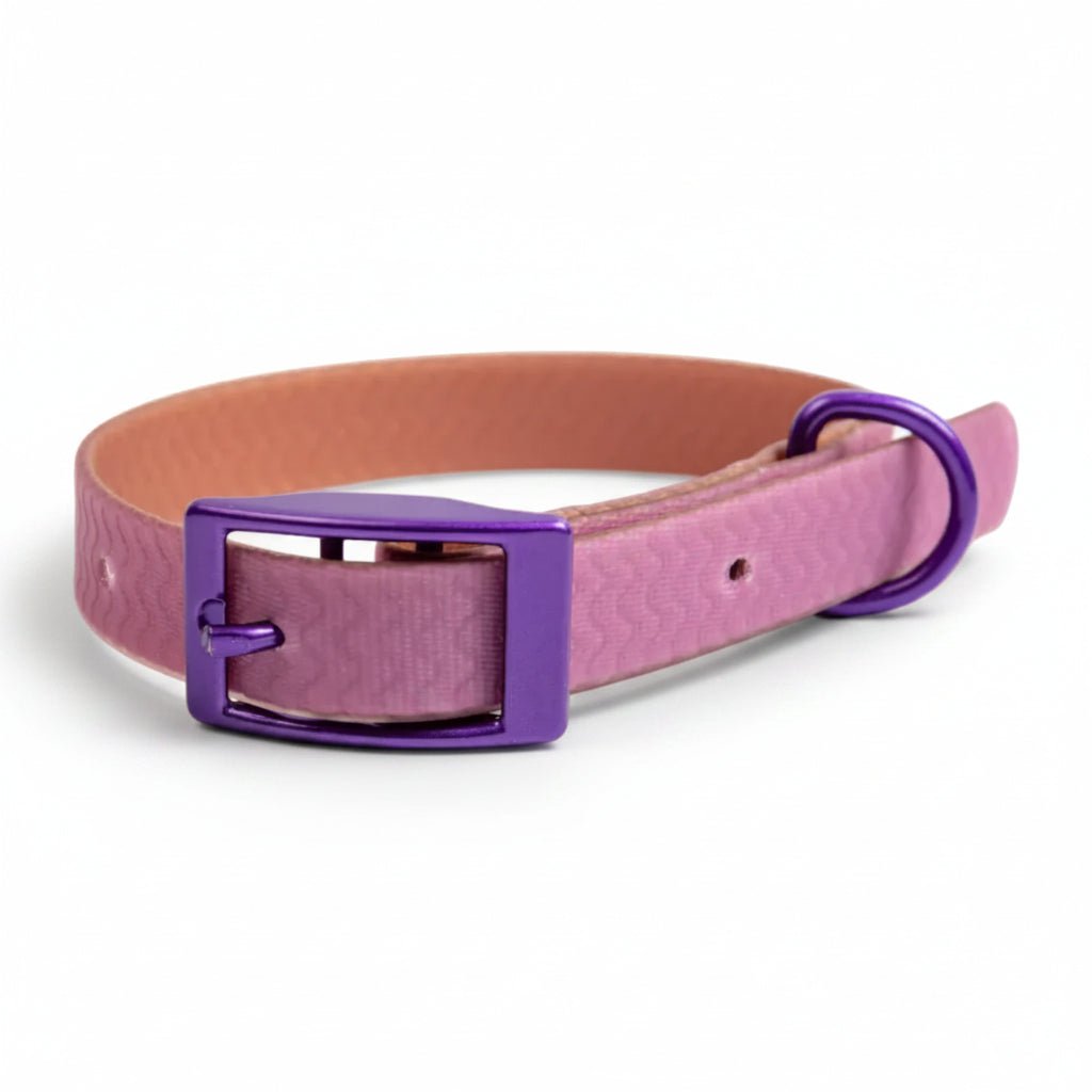 Jelly Collar - Waterproof Collar For Small Dogs