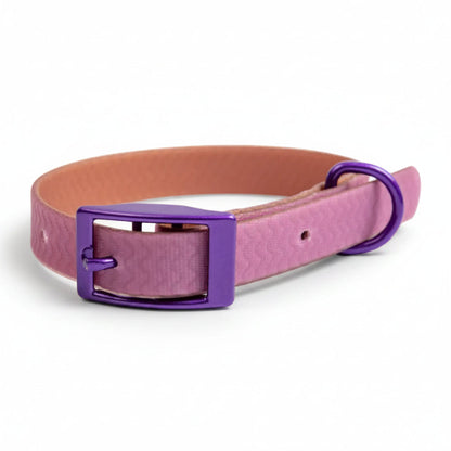 Jelly Collar - Waterproof Collar For Small Dogs