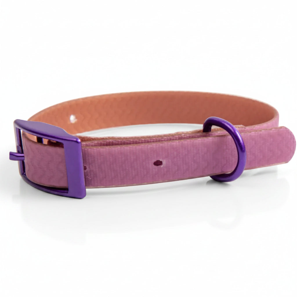 Jelly Collar - Waterproof Collar For Small Dogs