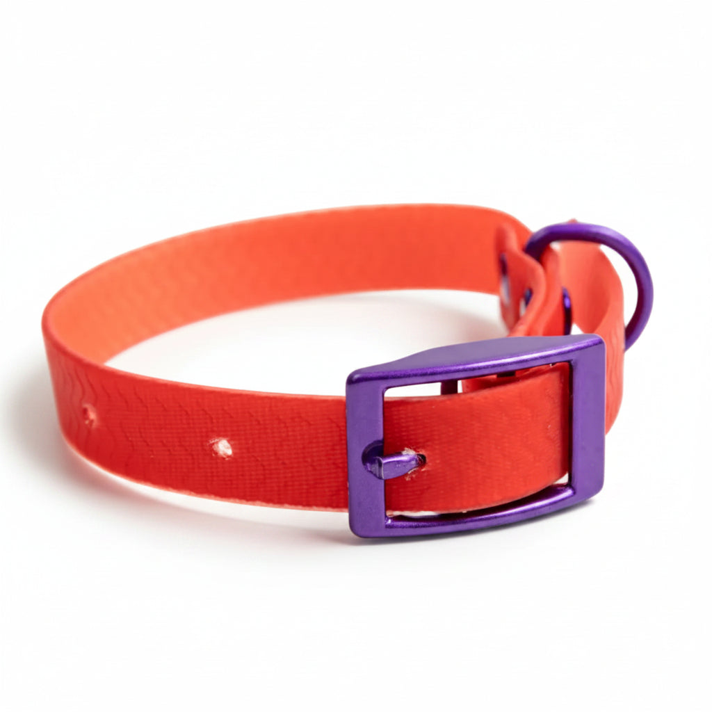 Jelly Collar - Waterproof Collar For Small Dogs