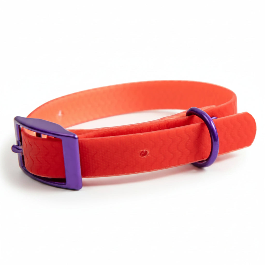 Jelly Collar - Waterproof Collar For Small Dogs
