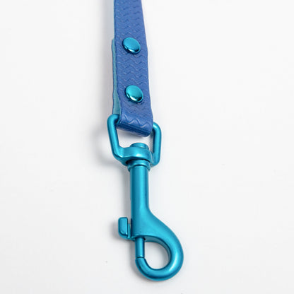Jelly Waterproof Leash for Small Dogs
