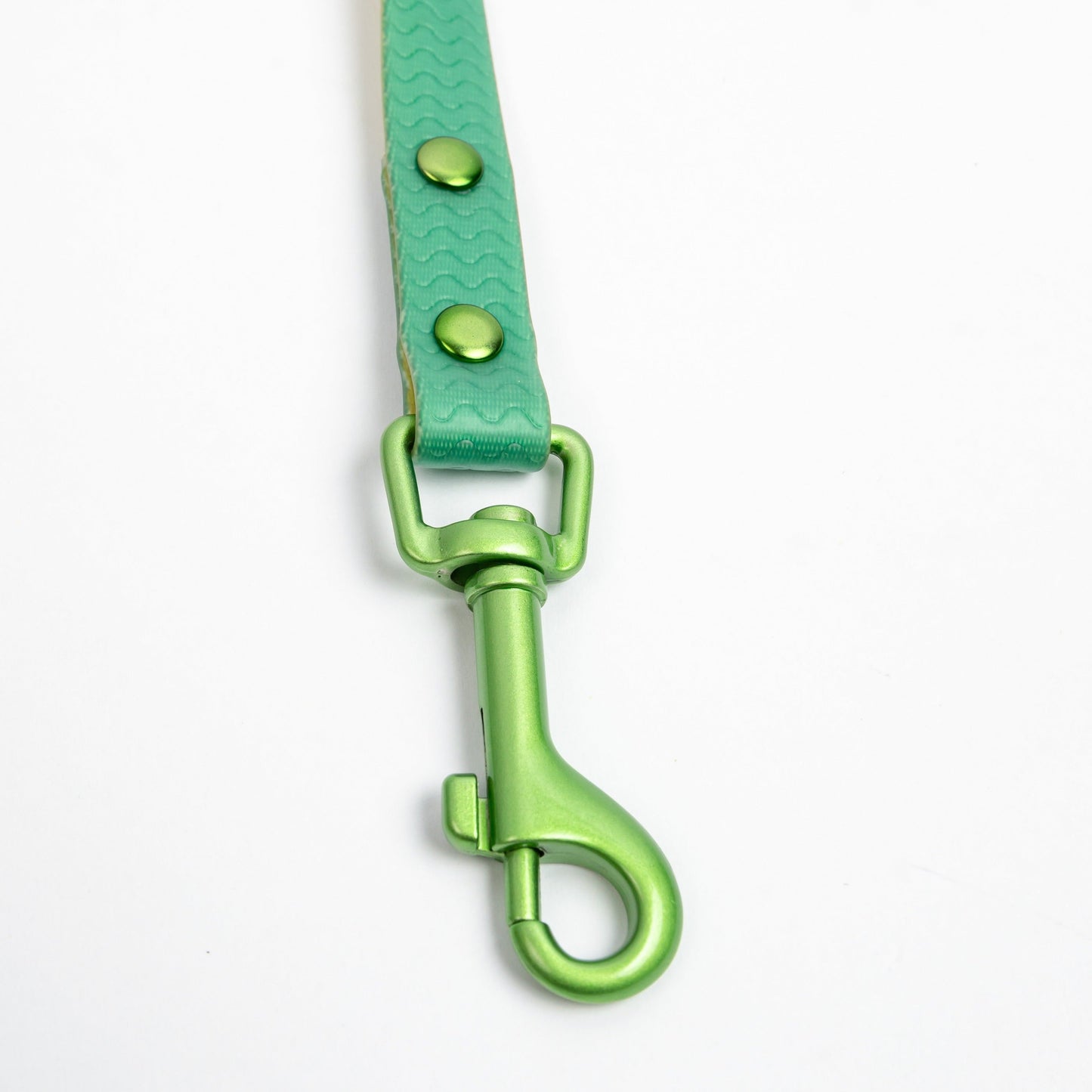 Jelly Waterproof Leash for Small Dogs