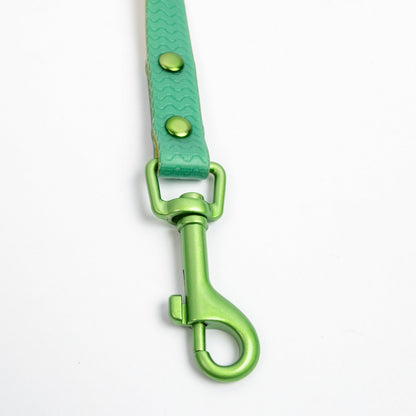 Jelly Waterproof Leash for Small Dogs
