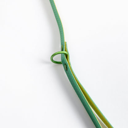 Jelly Waterproof Leash for Small Dogs