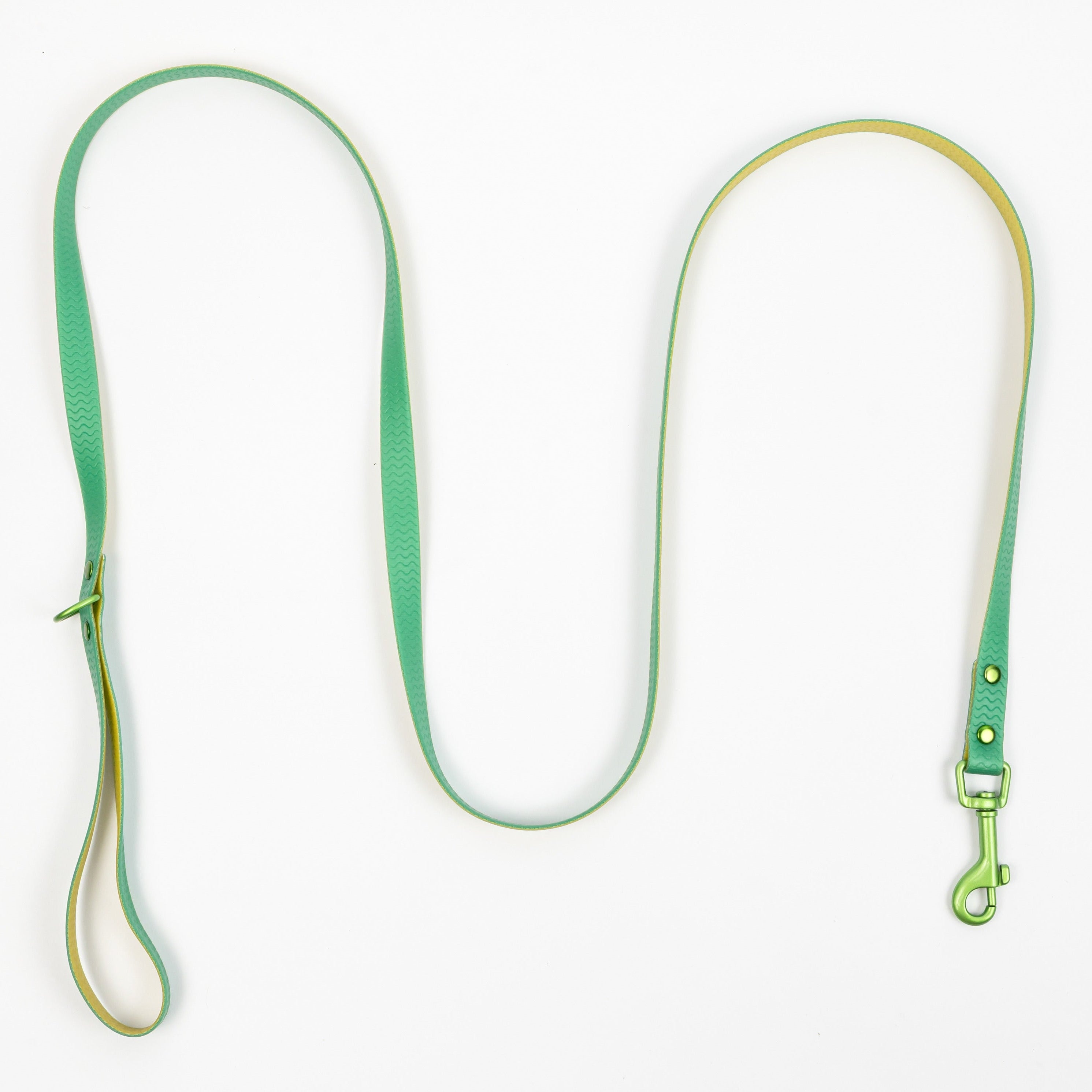 Jelly Waterproof Dog Leash - Green - Top