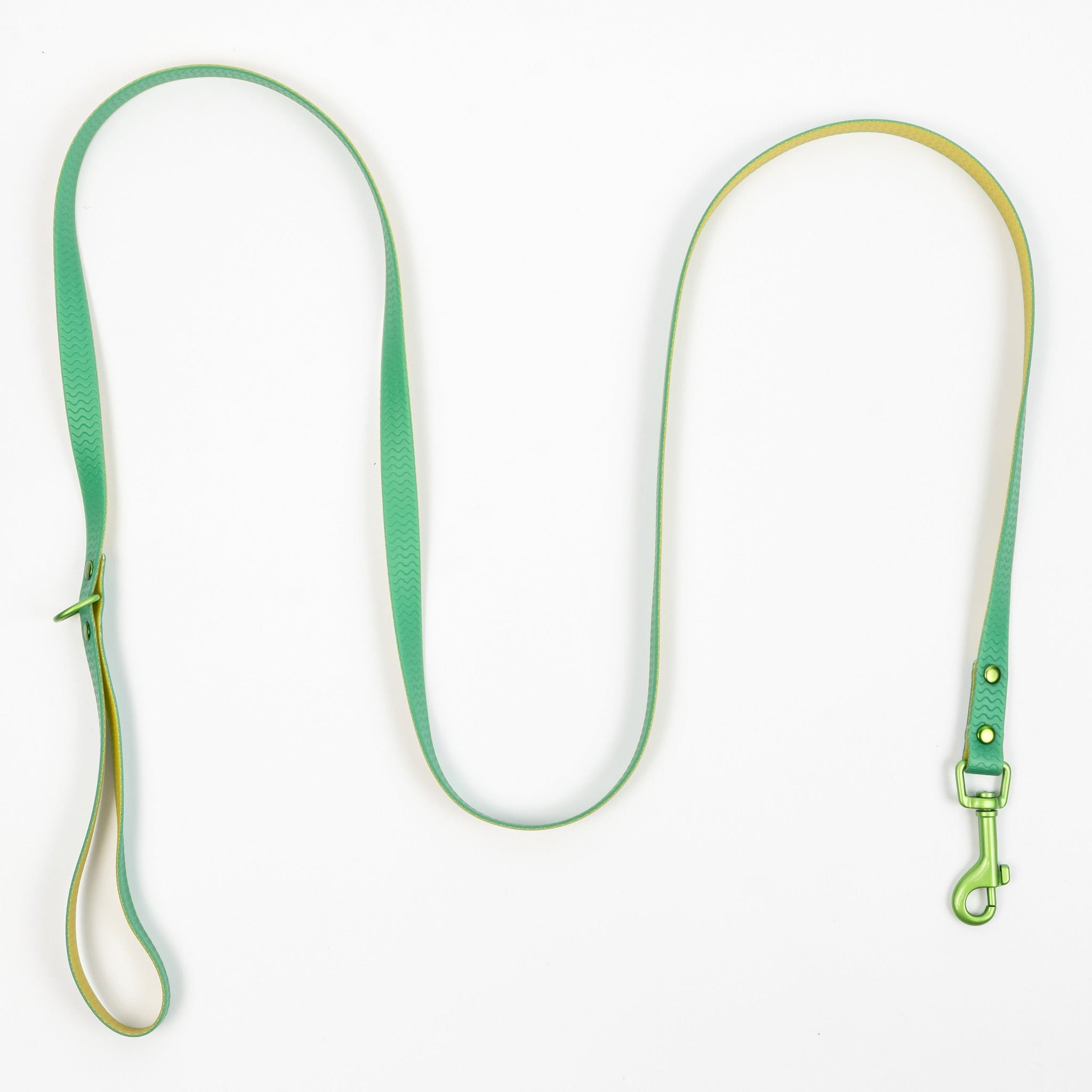 Jelly Waterproof Dog Leash - Green - Top