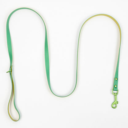 Jelly Waterproof Dog Leash - Green - Top