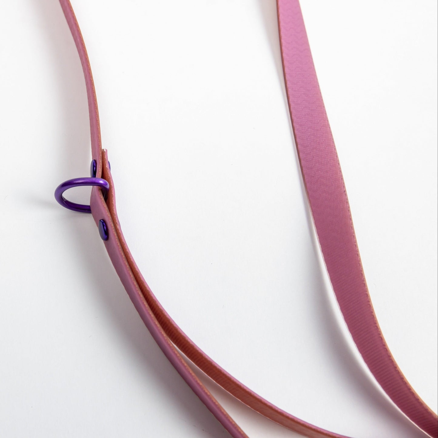 Jelly Waterproof Leash for Small Dogs