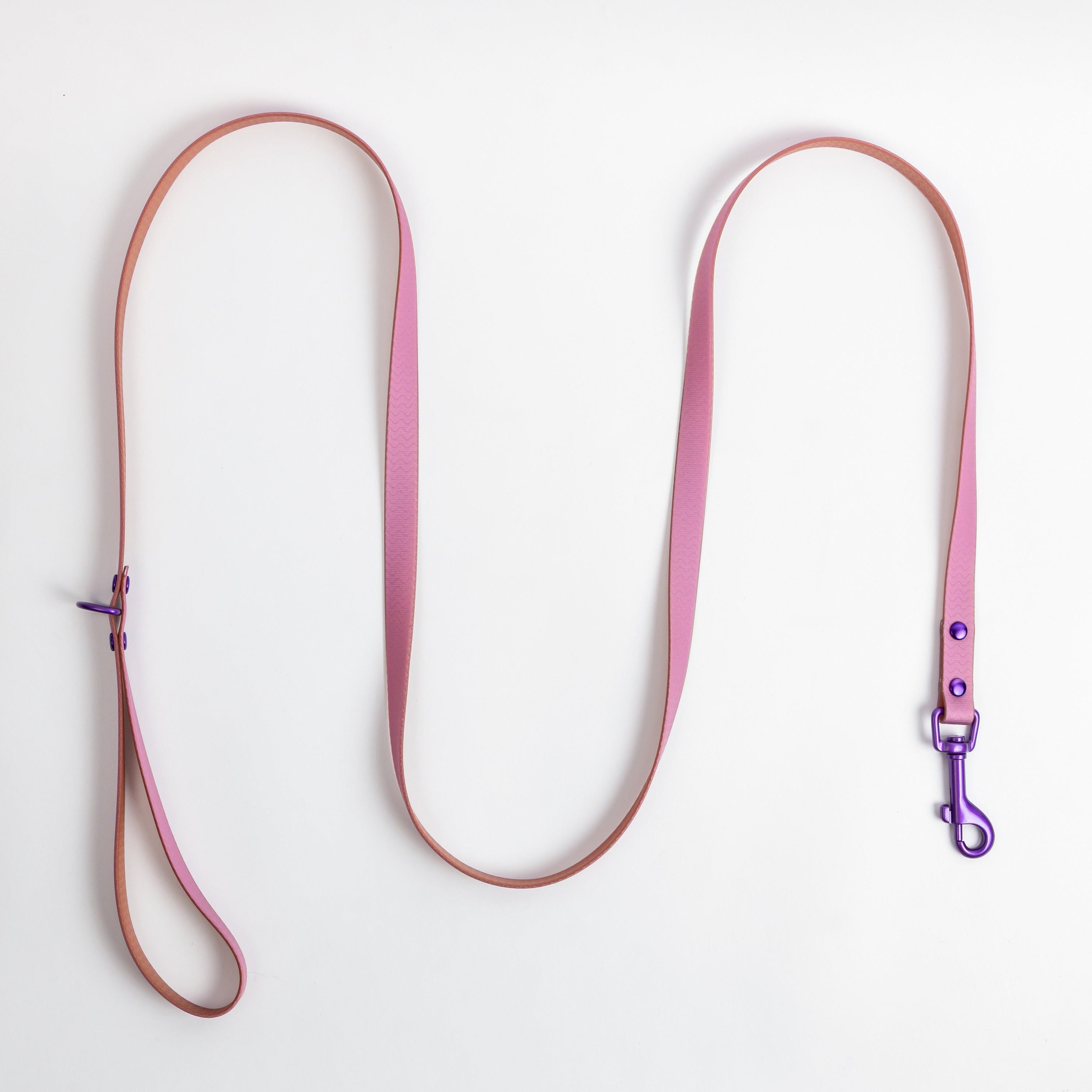 Jelly Waterproof Dog Leash - Purple - Top