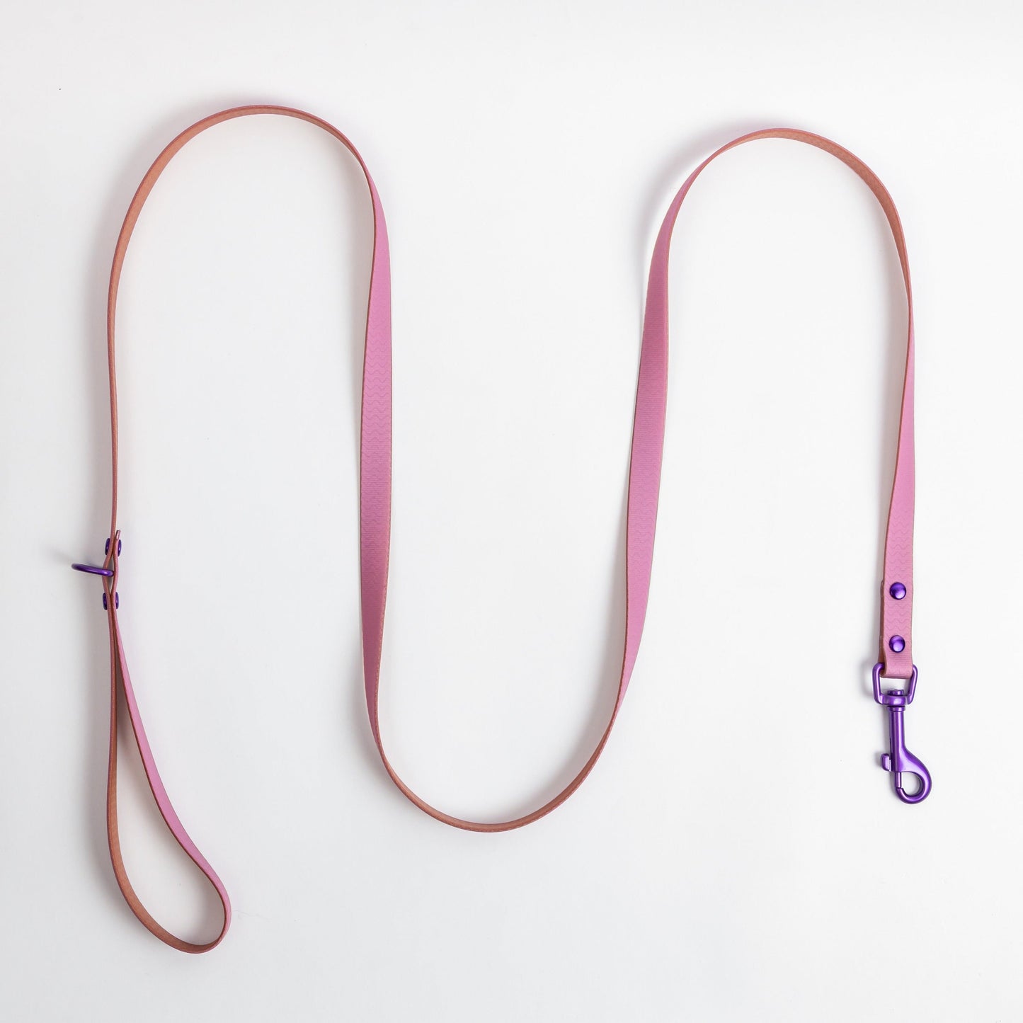 Jelly Waterproof Dog Leash - Purple - Top