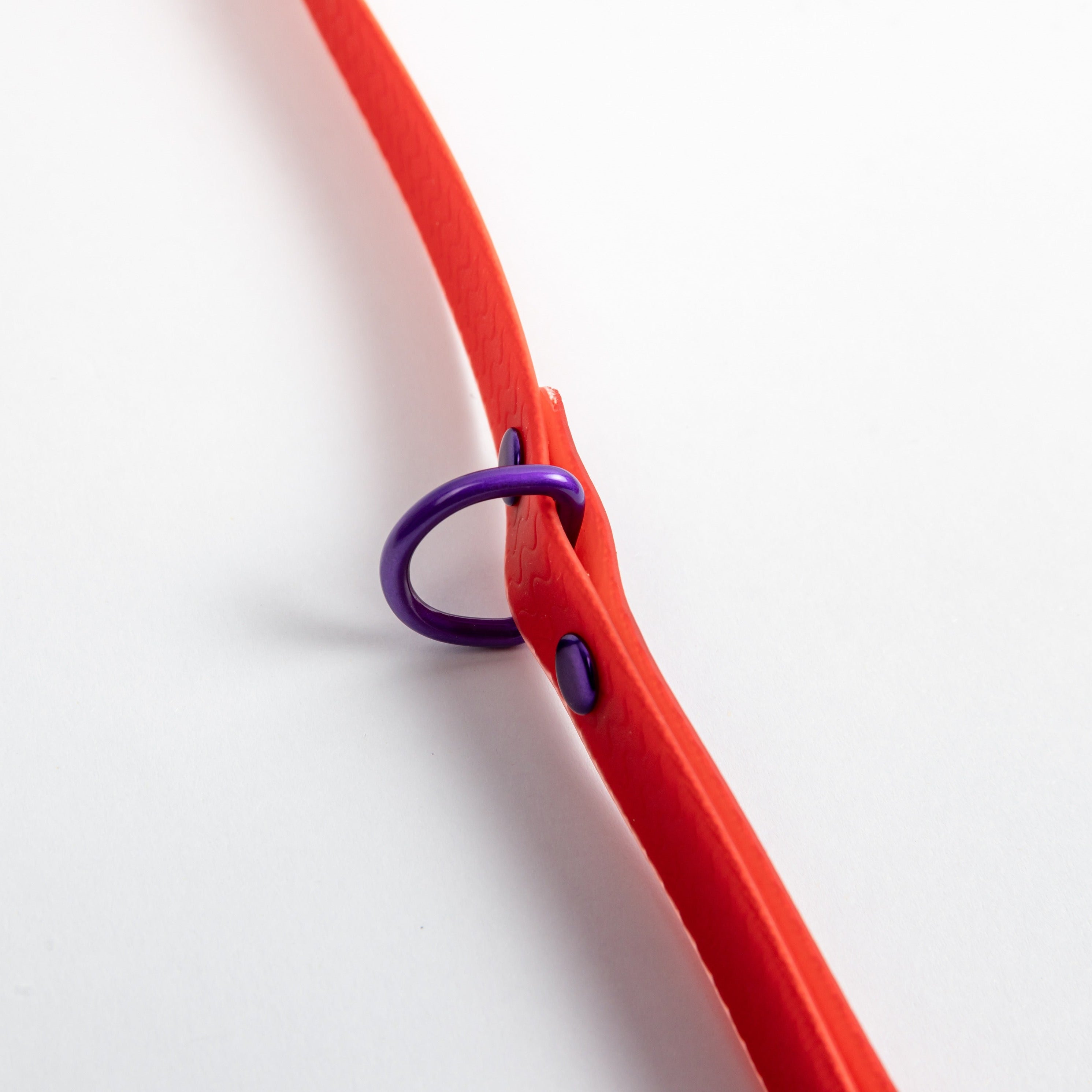 Jelly Waterproof Leash for Small Dogs