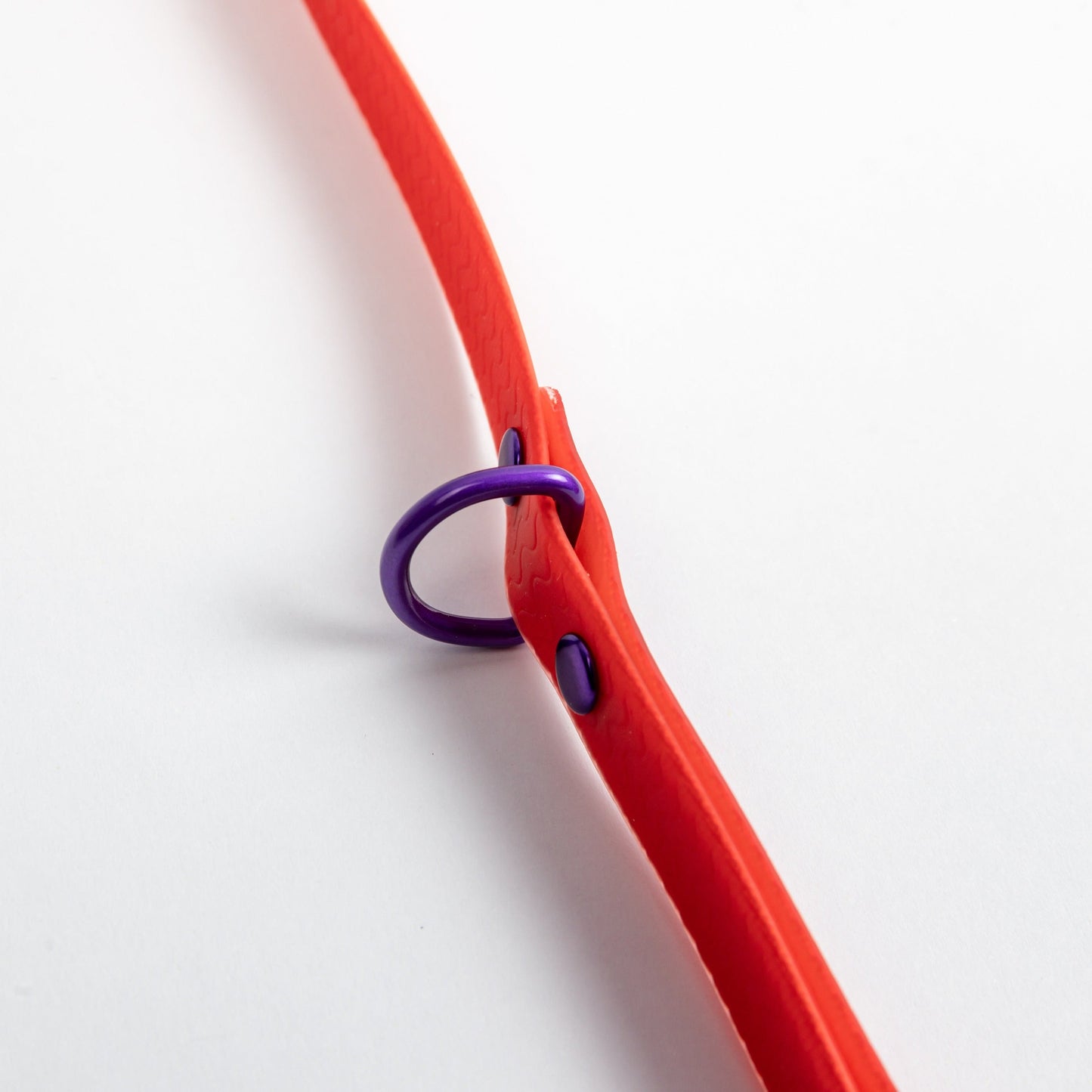 Jelly Waterproof Leash for Small Dogs