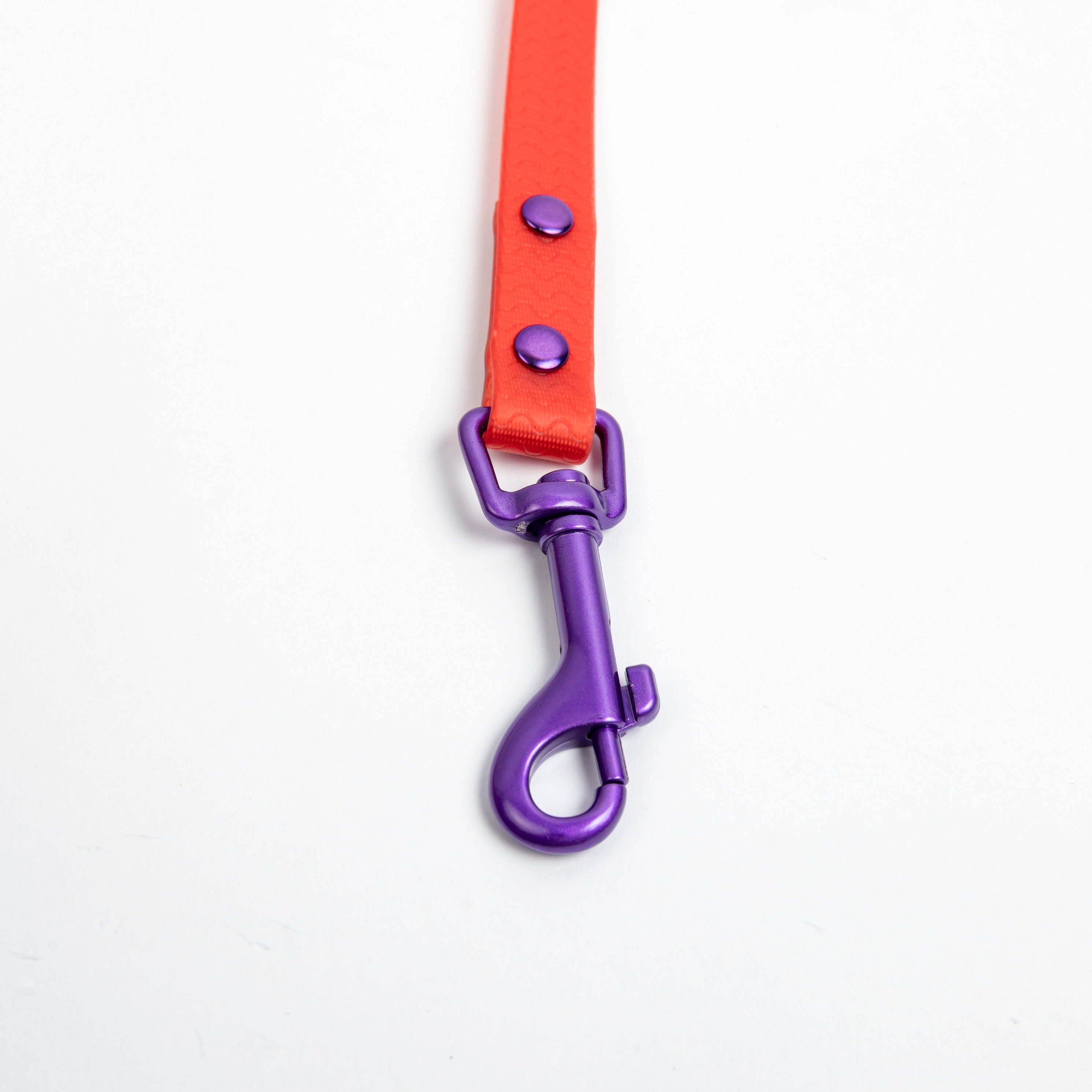 Jelly Waterproof Leash for Small Dogs