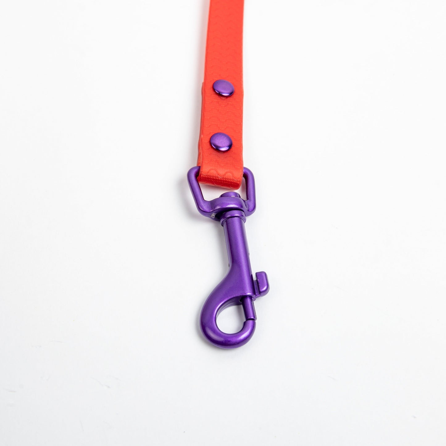 Jelly Waterproof Leash for Small Dogs