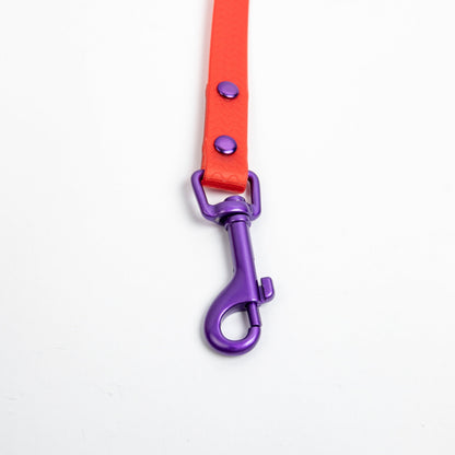 Jelly Waterproof Leash for Small Dogs