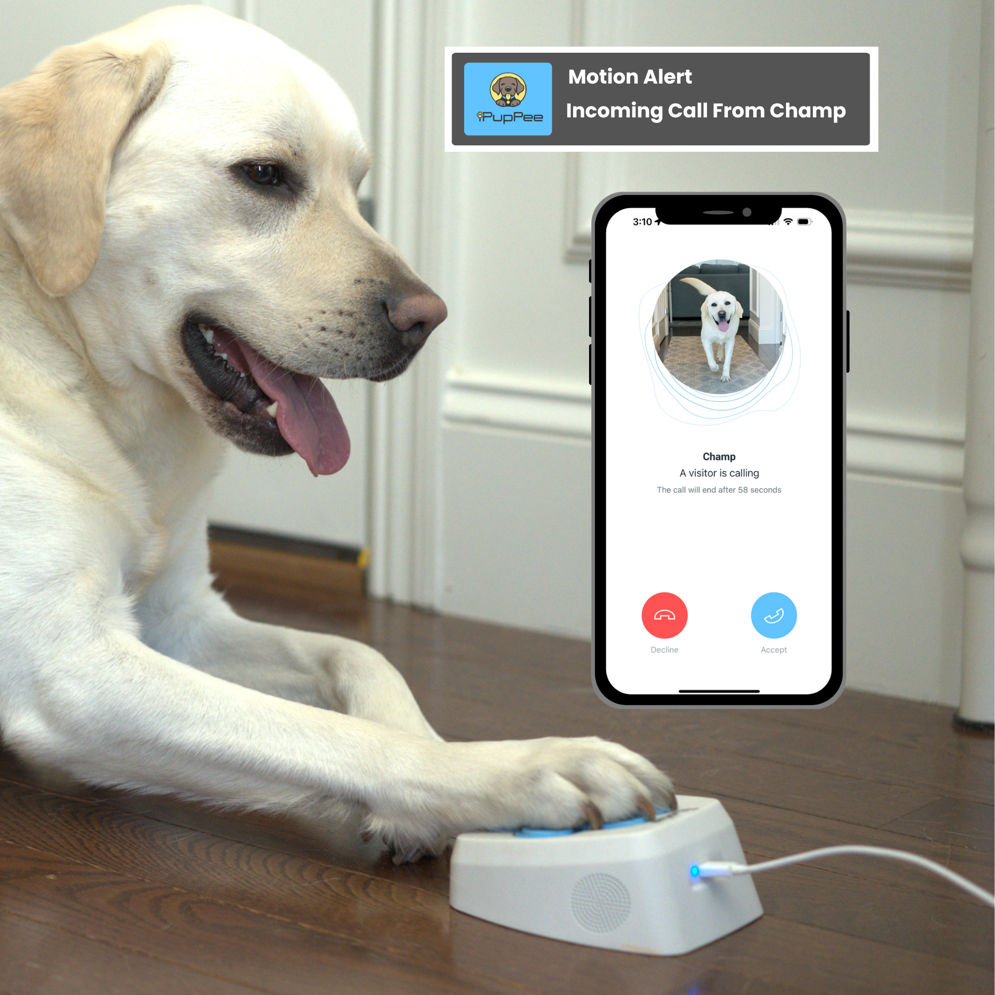 iPupPee - Dog Talking Button, Potty Training Device & Medical Alert System for Dog Owners