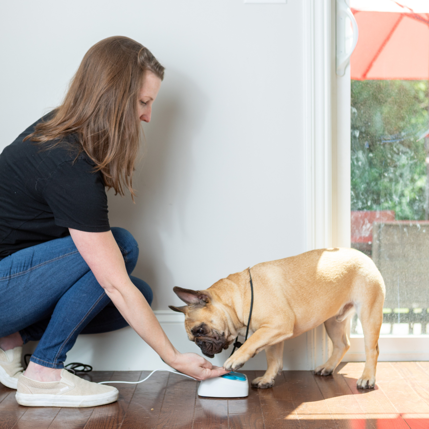 iPupPee - Dog Talking Button, Potty Training Device & Medical Alert System for Dog Owners