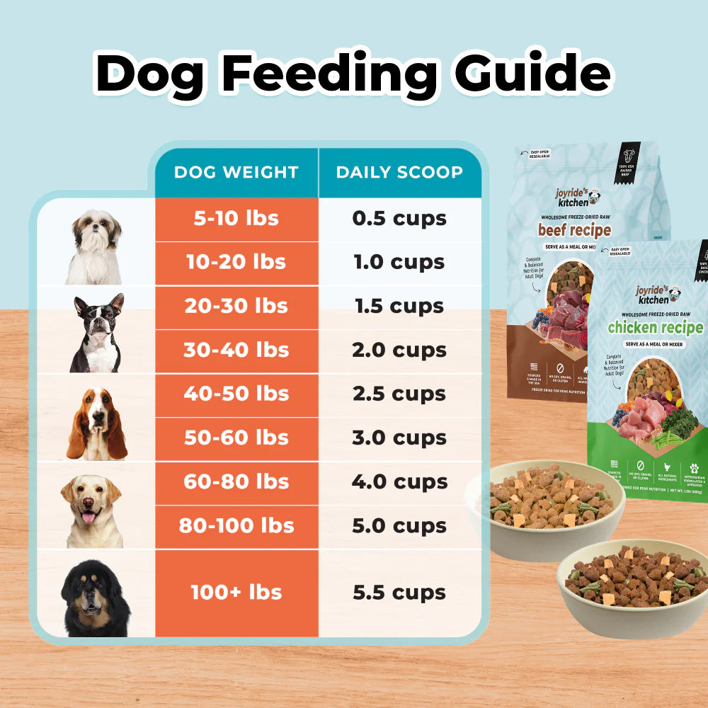 Joyride’s Kitchen Wholesome Chicken Freeze-Dried Raw Dog Food