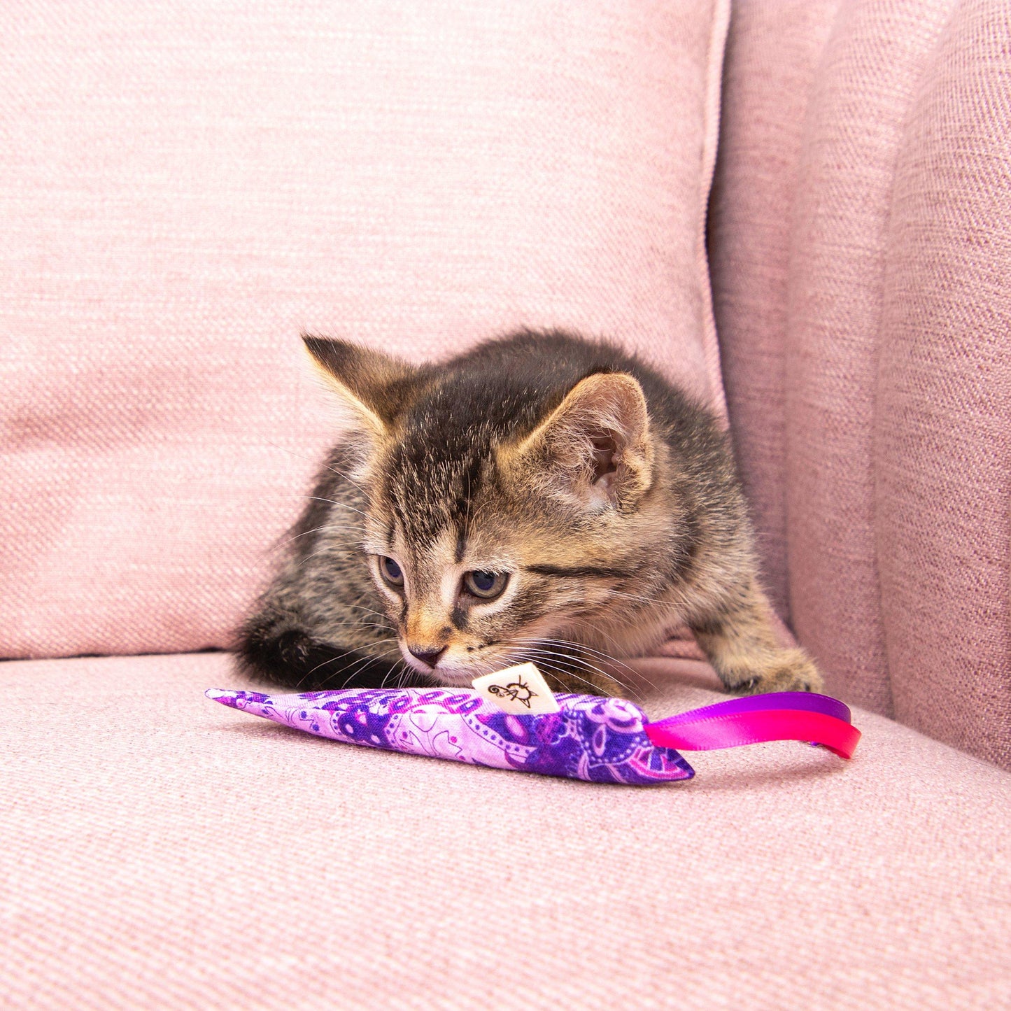 Crinkle Sticks Cat Toys 3-Pack