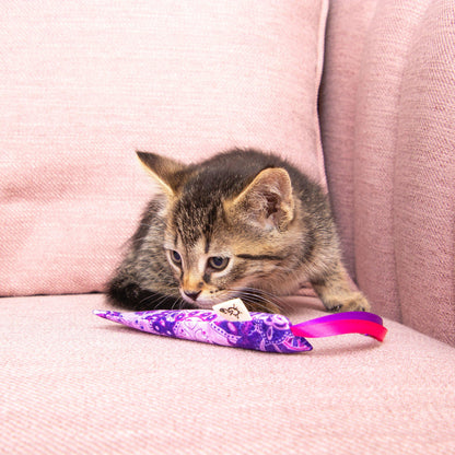 Crinkle Sticks Cat Toys 3-Pack