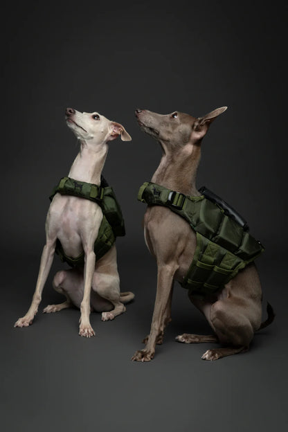 Human Standards Dog Lifejacket Design with 3x Foam Support for Max Floating