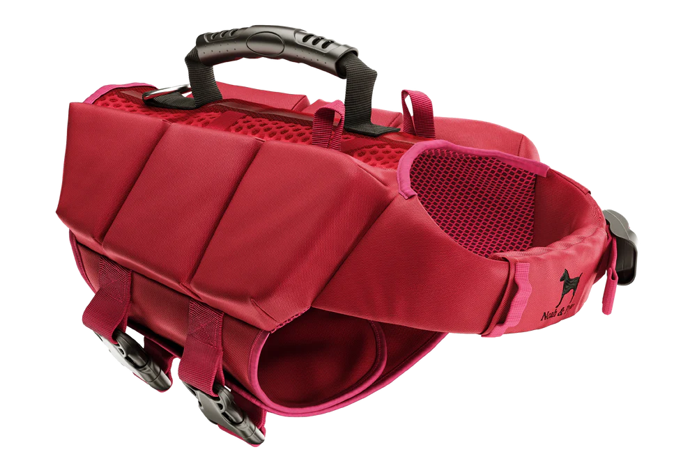 Human Standards Dog Lifejacket Design with 3x Foam Support for Max Floating