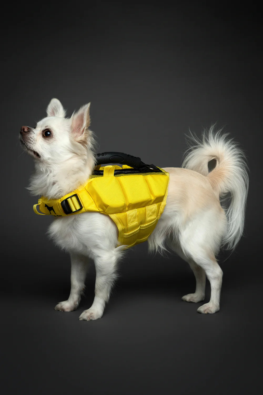 Human Standards Dog Lifejacket Design with 3x Foam Support for Max Floating