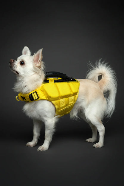 Human Standards Dog Lifejacket Design with 3x Foam Support for Max Floating