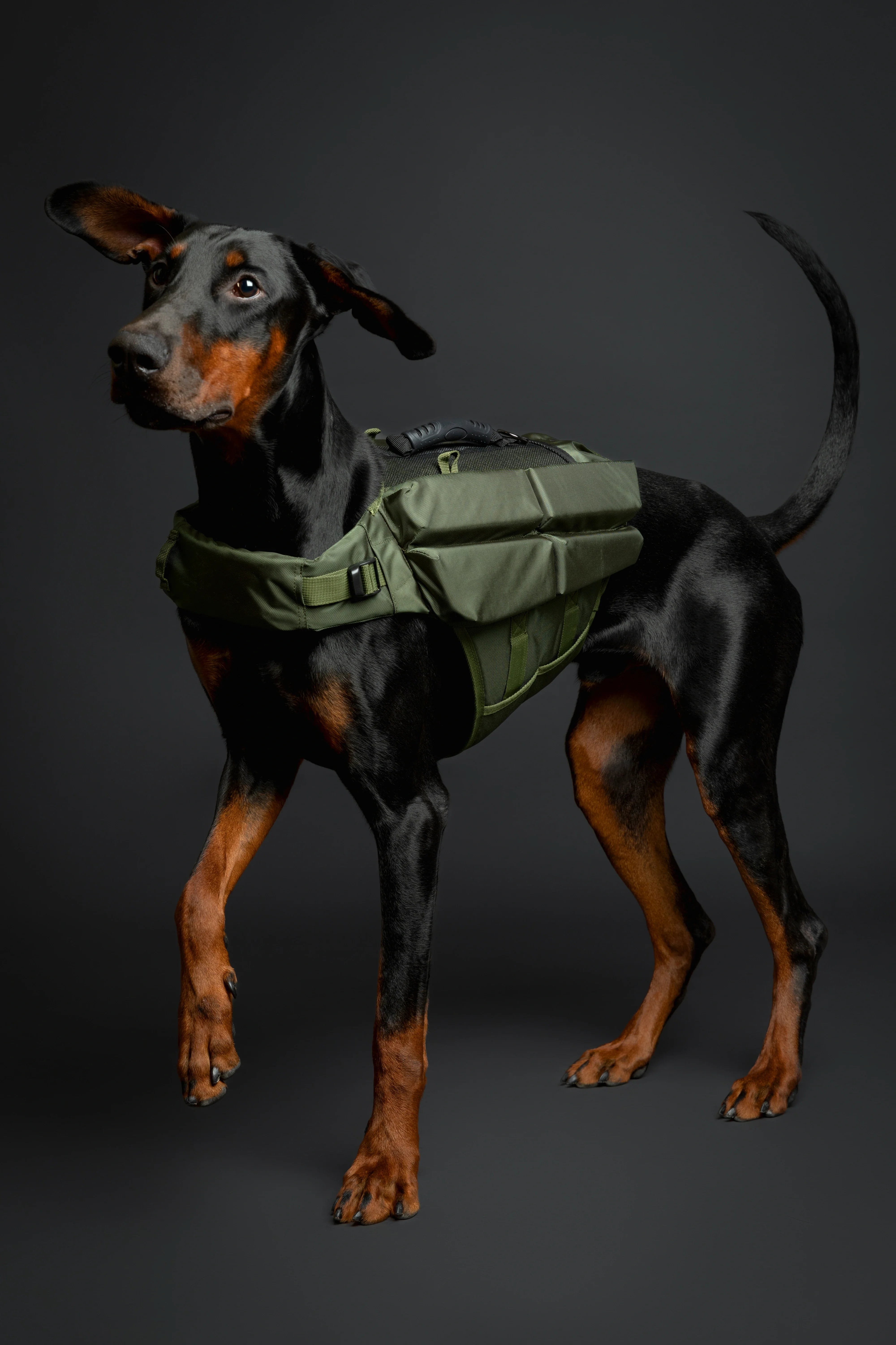 Human Standards Dog Lifejacket Design with 4x Foam for Maximum Buoyancy, Stability & Comfort - Green