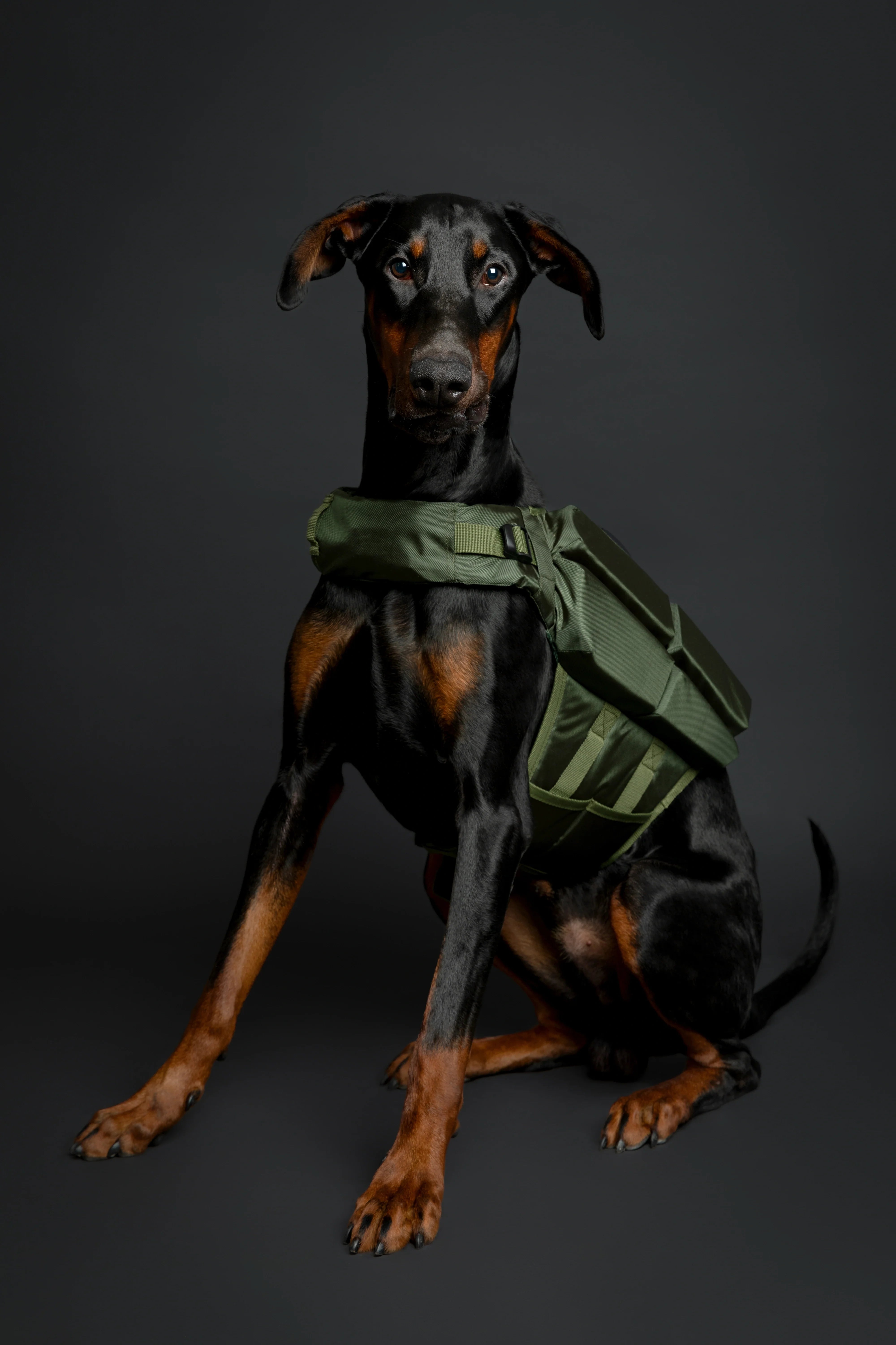 Human Standards Dog Lifejacket Design with 4x Foam for Maximum Buoyancy, Stability & Comfort - Green