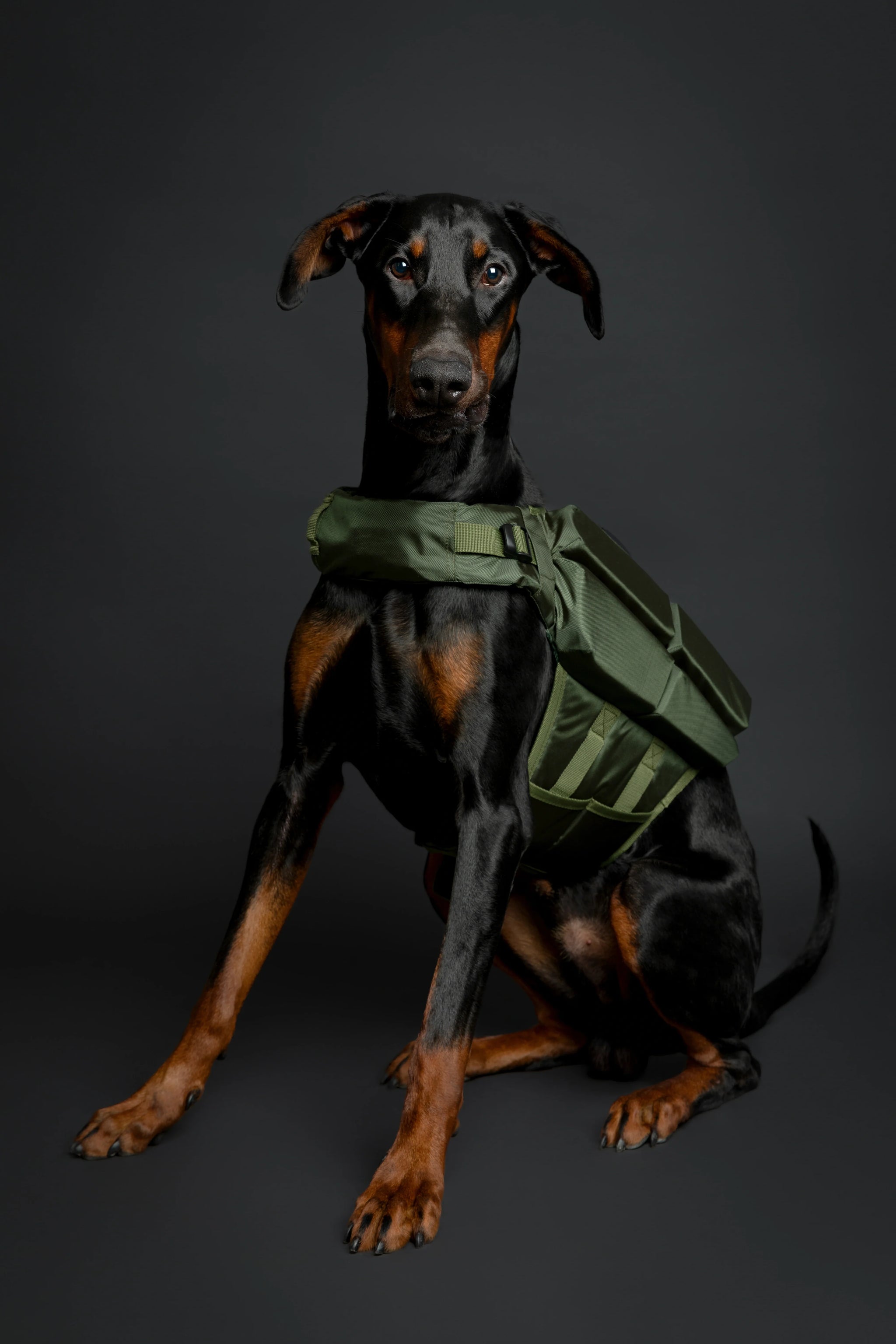 Human Standards Dog Lifejacket Design with 4x Foam for Maximum Buoyancy, Stability & Comfort - Green