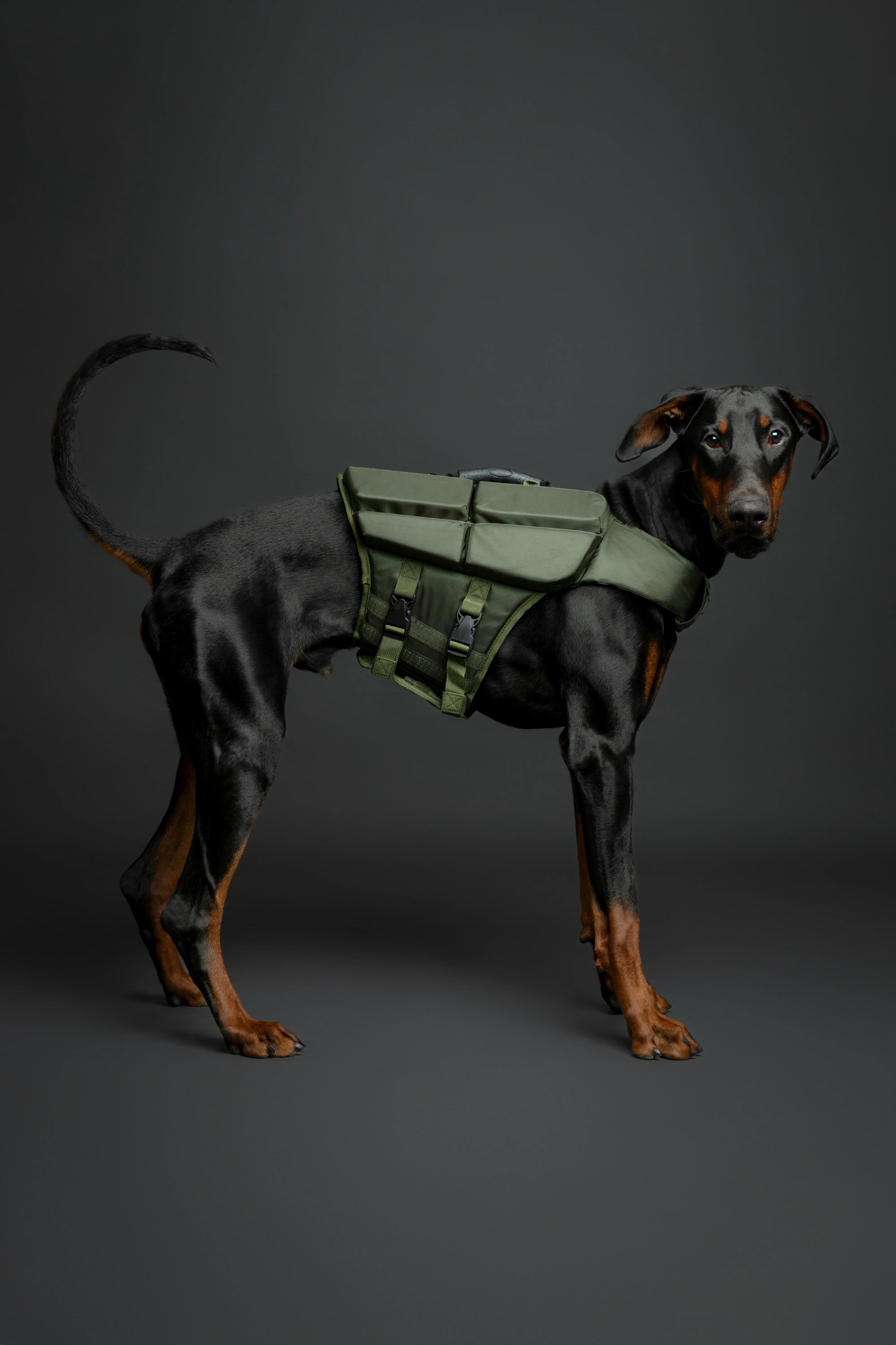 Human Standards Dog Lifejacket Design with 4x Foam for Maximum Buoyancy, Stability & Comfort - Green