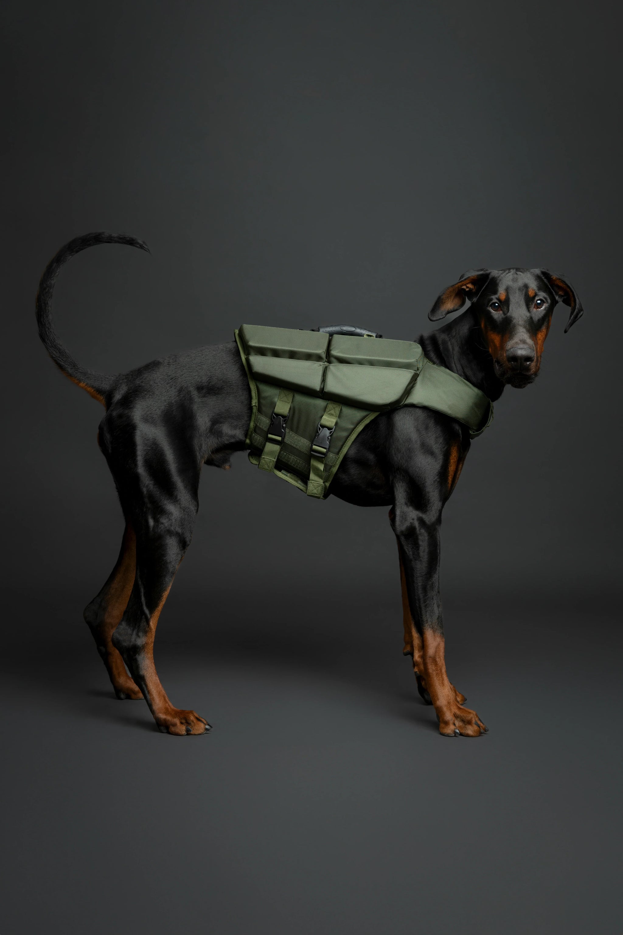 Human Standards Dog Lifejacket Design with 4x Foam for Maximum Buoyancy, Stability & Comfort - Green