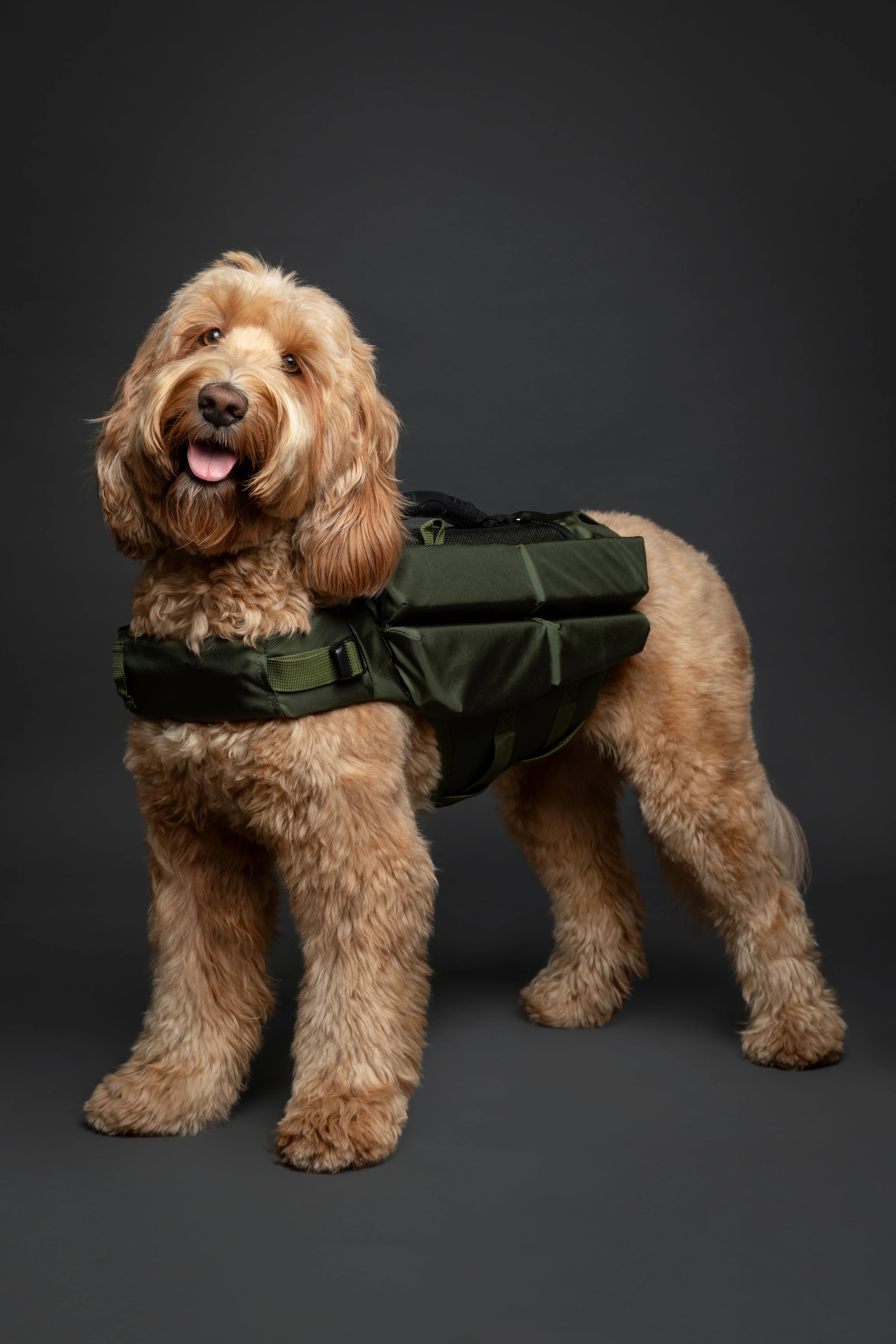 Human Standards Dog Lifejacket Design with 4x Foam for Maximum Buoyancy, Stability & Comfort - Green