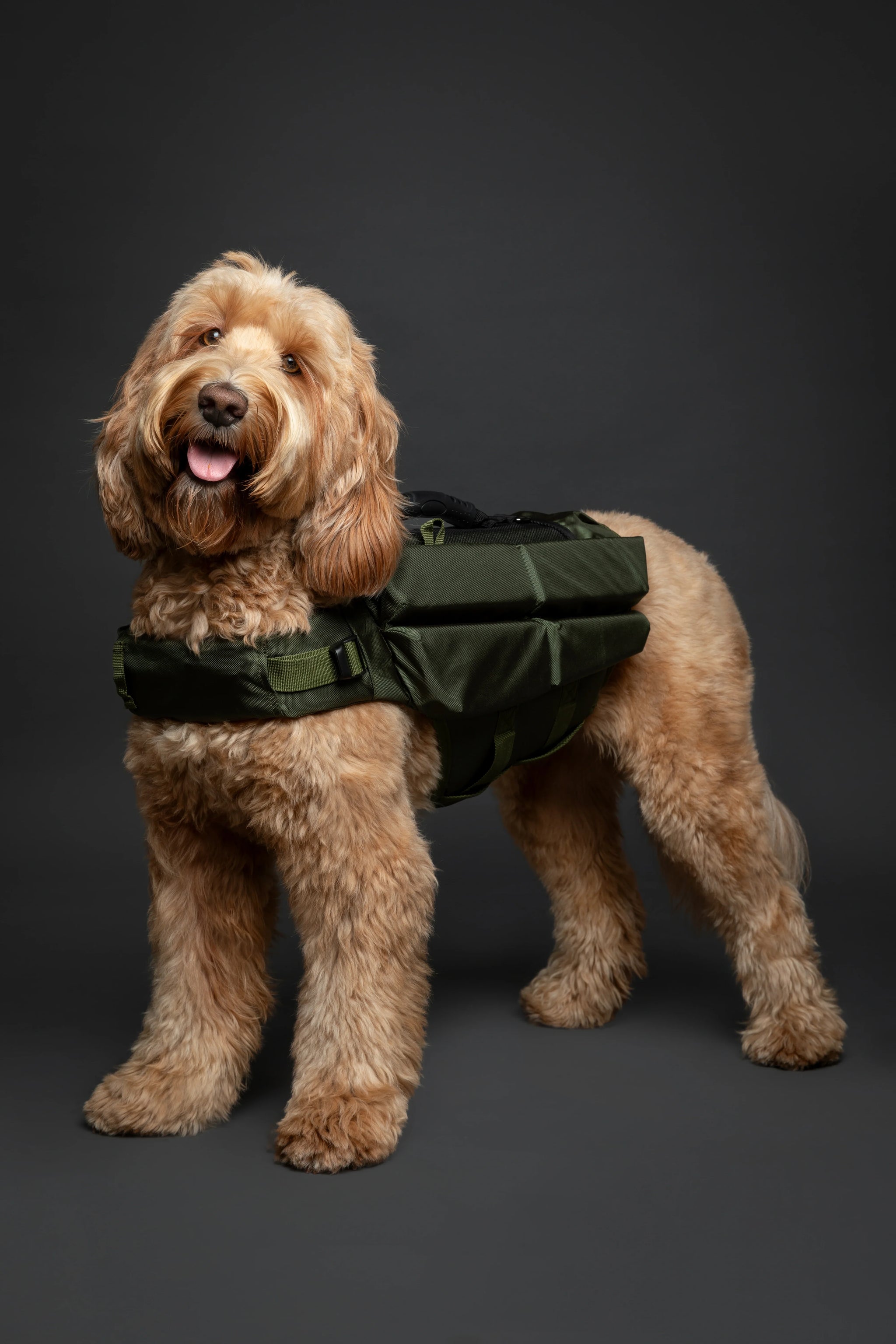 Human Standards Dog Lifejacket Design with 4x Foam for Maximum Buoyancy, Stability & Comfort - Green