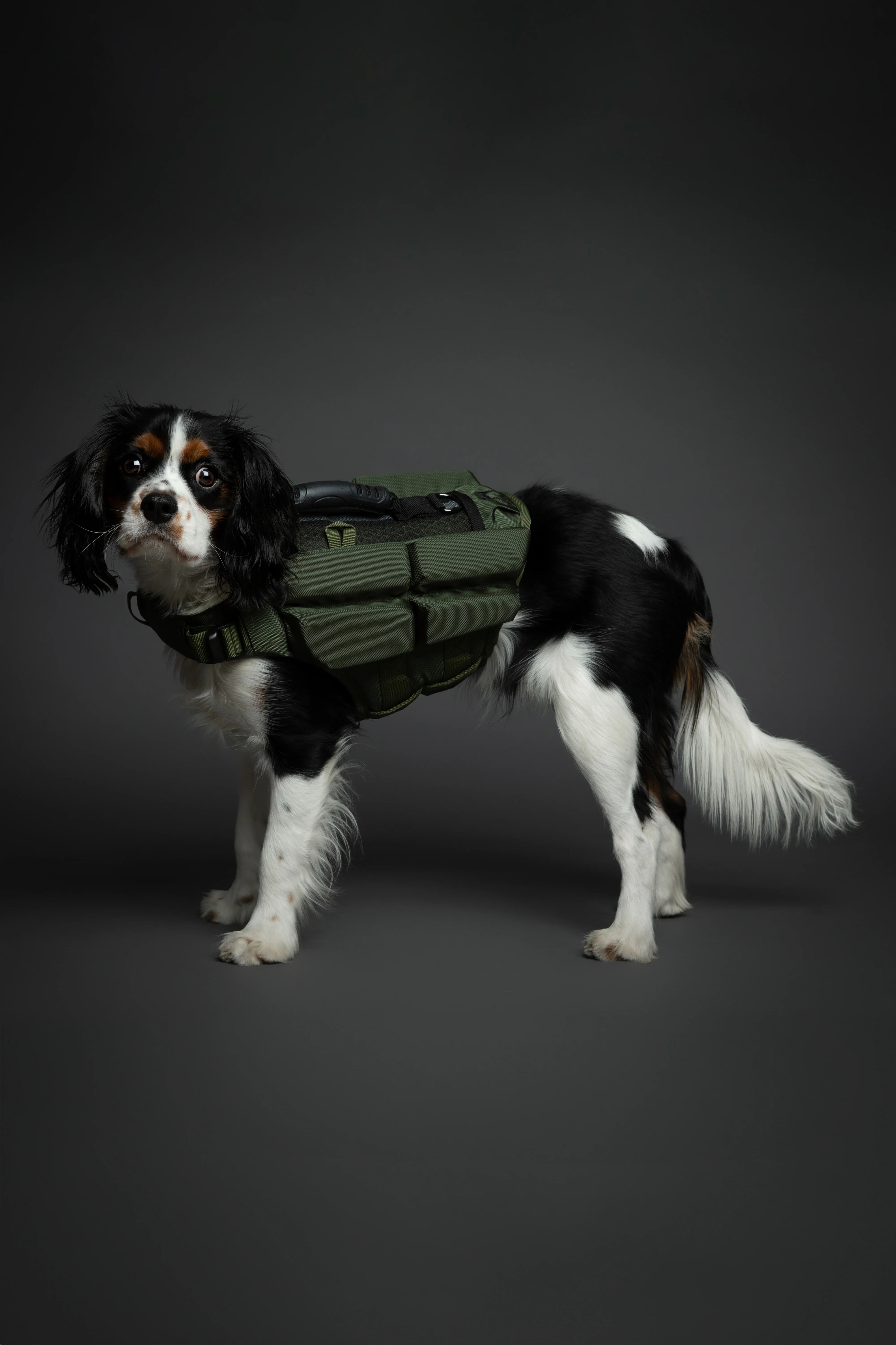 Human Standards Dog Lifejacket Design with 4x Foam for Maximum Buoyancy, Stability & Comfort - Green