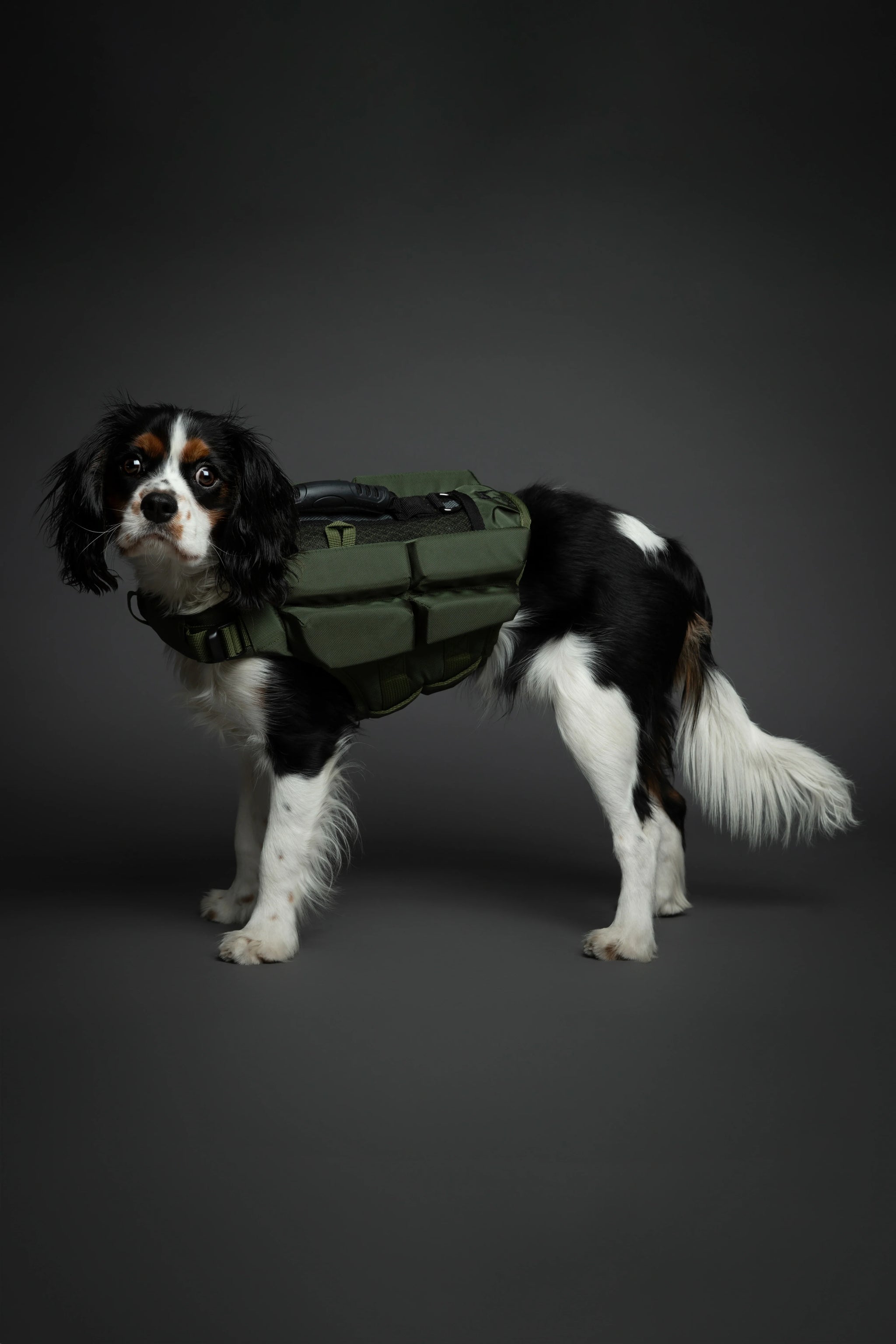 Human Standards Dog Lifejacket Design with 4x Foam for Maximum Buoyancy, Stability & Comfort - Green