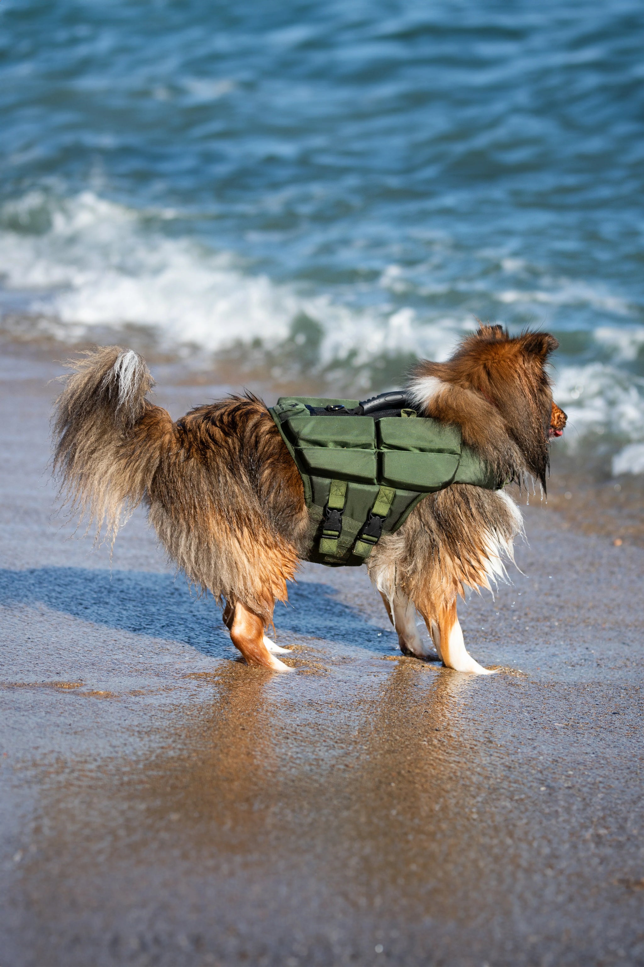 Human Standards Dog Lifejacket Design with 4x Foam for Maximum Buoyancy, Stability & Comfort - Green