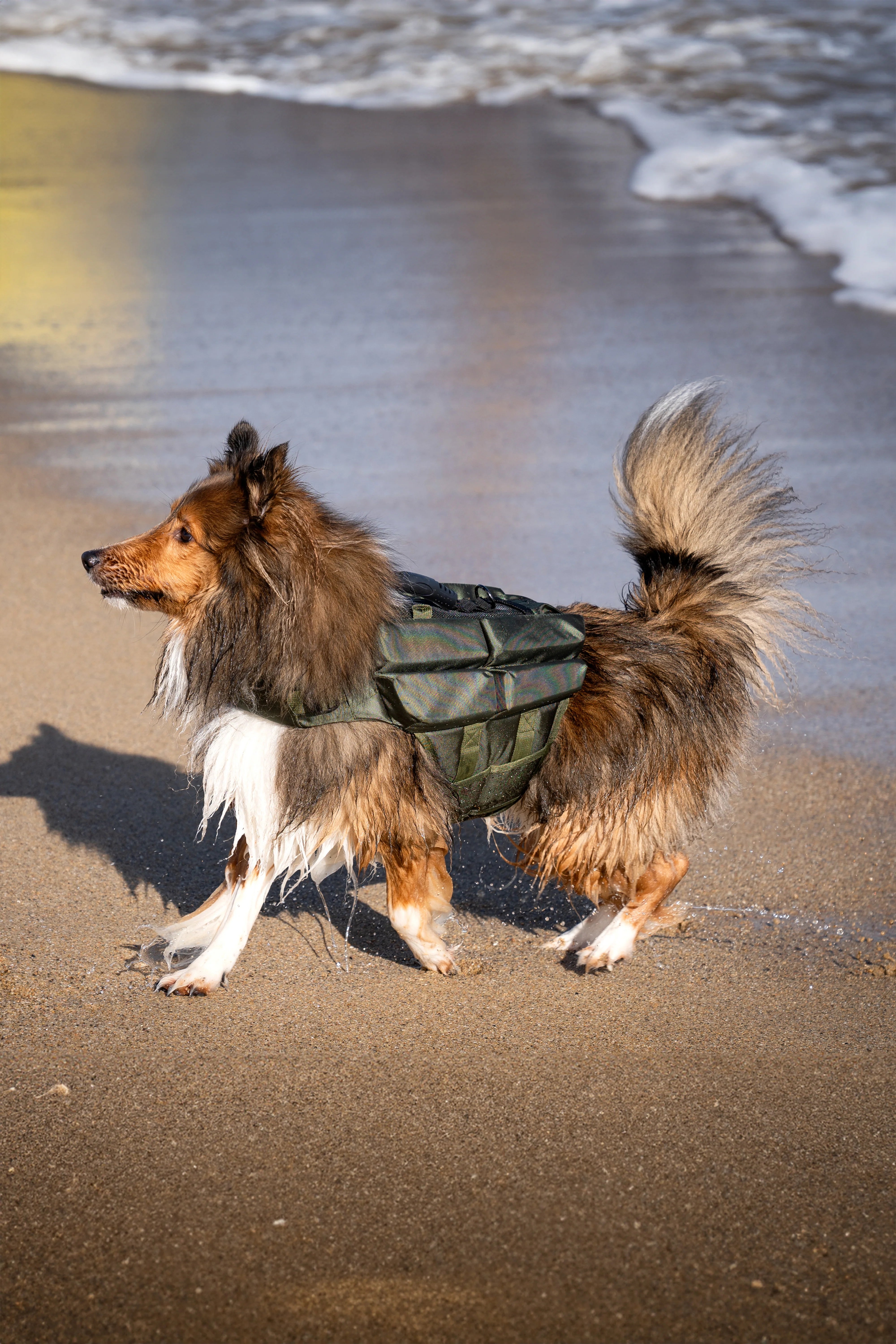 Human Standards Dog Lifejacket Design with 4x Foam for Maximum Buoyancy, Stability & Comfort - Green